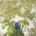 Prázdninový dům 6 Person In Blokhus-by Traum *